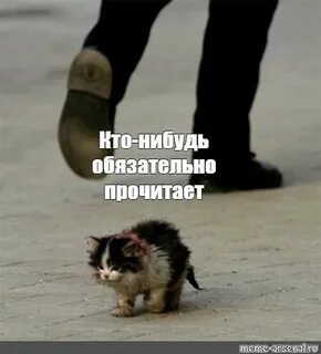 Выпустите обязательно