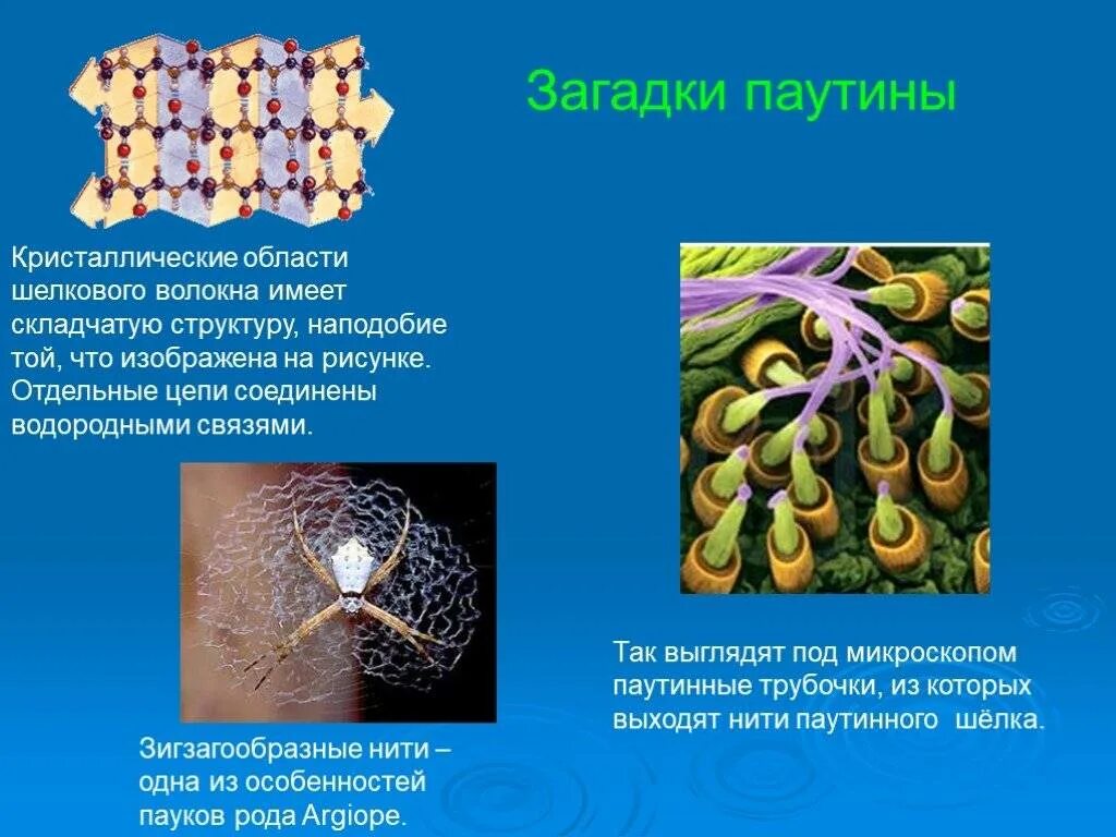 Химический состав пауков. Из чего состоит паутина паука. Схема плетения паутины пауком. Формула паутины человека паука. Строение нити паутины.