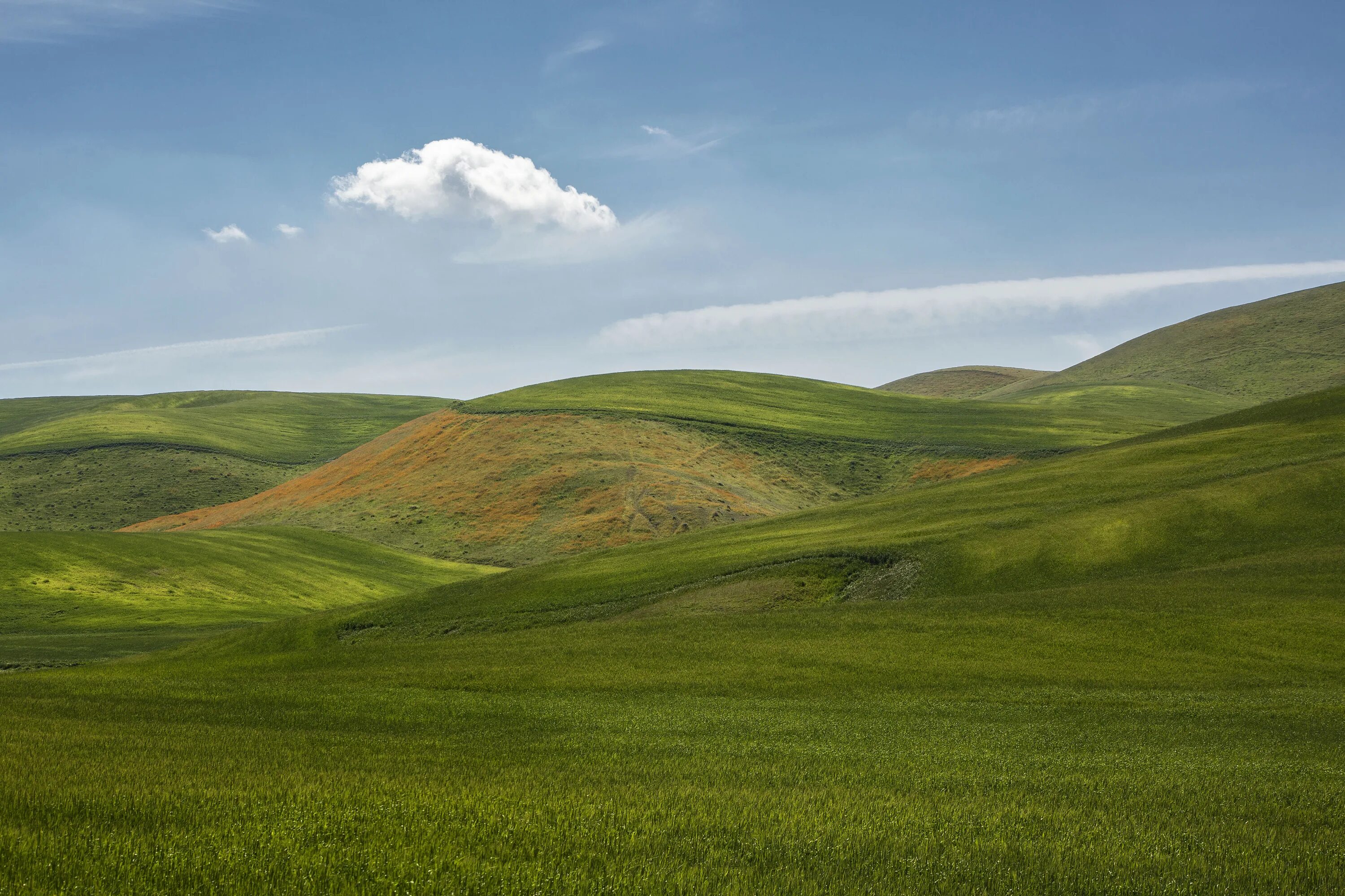 Степи 11. Типчаково-ковыльная степь. Тамбовская степь. «ландшафты даурии» (даурский заповедник). Степи 11.