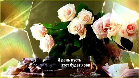 Учителям мы дарим розы