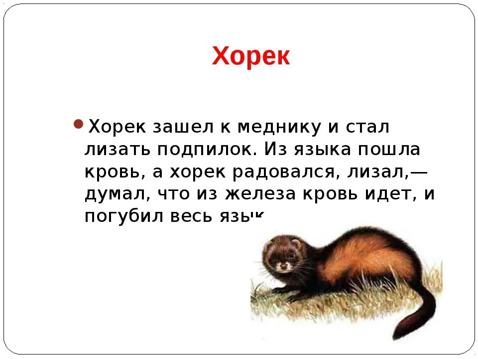 Басни толстого класс. Басни Льва Николаевича Толстого 3 класс. Басни Льва Николаевича Толстого 4 класс короткие. Басни Льва Николаевича Толстого 4 класс. Самые короткие басни Лев Николаевича Толстого.