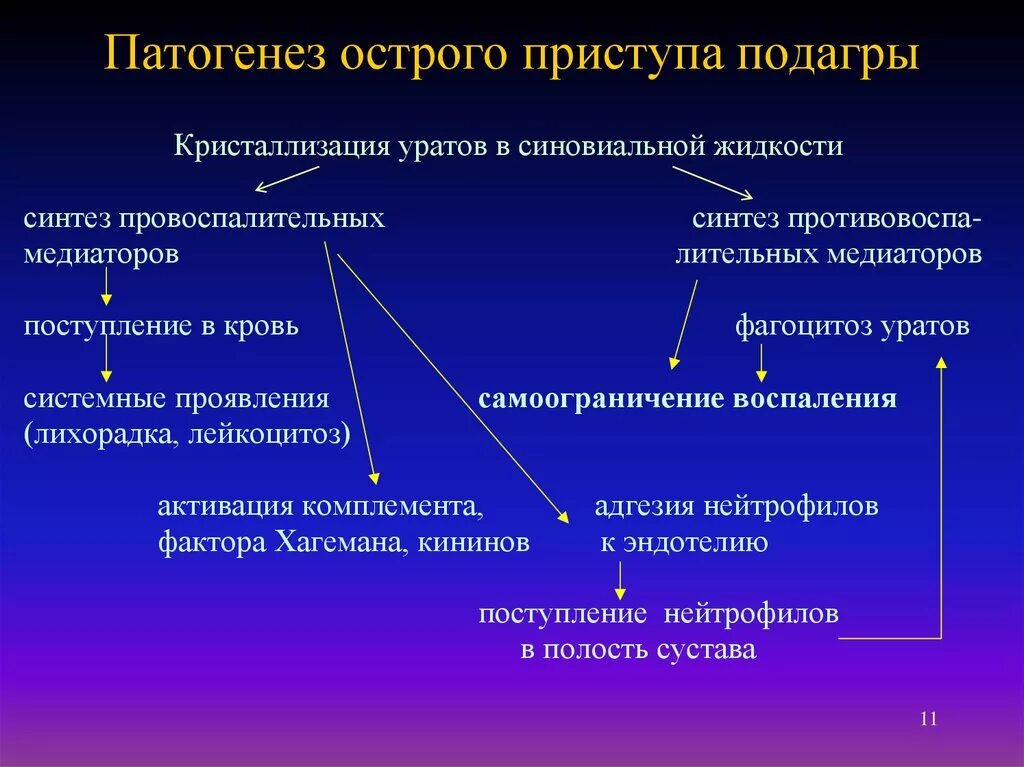 Механизм развития подагры схема. Патогенез подагры. Патогенез подагры патофизиология. Подагра этиология патогенез.