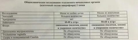 Мазок лейкоциты норма у женщин после 60