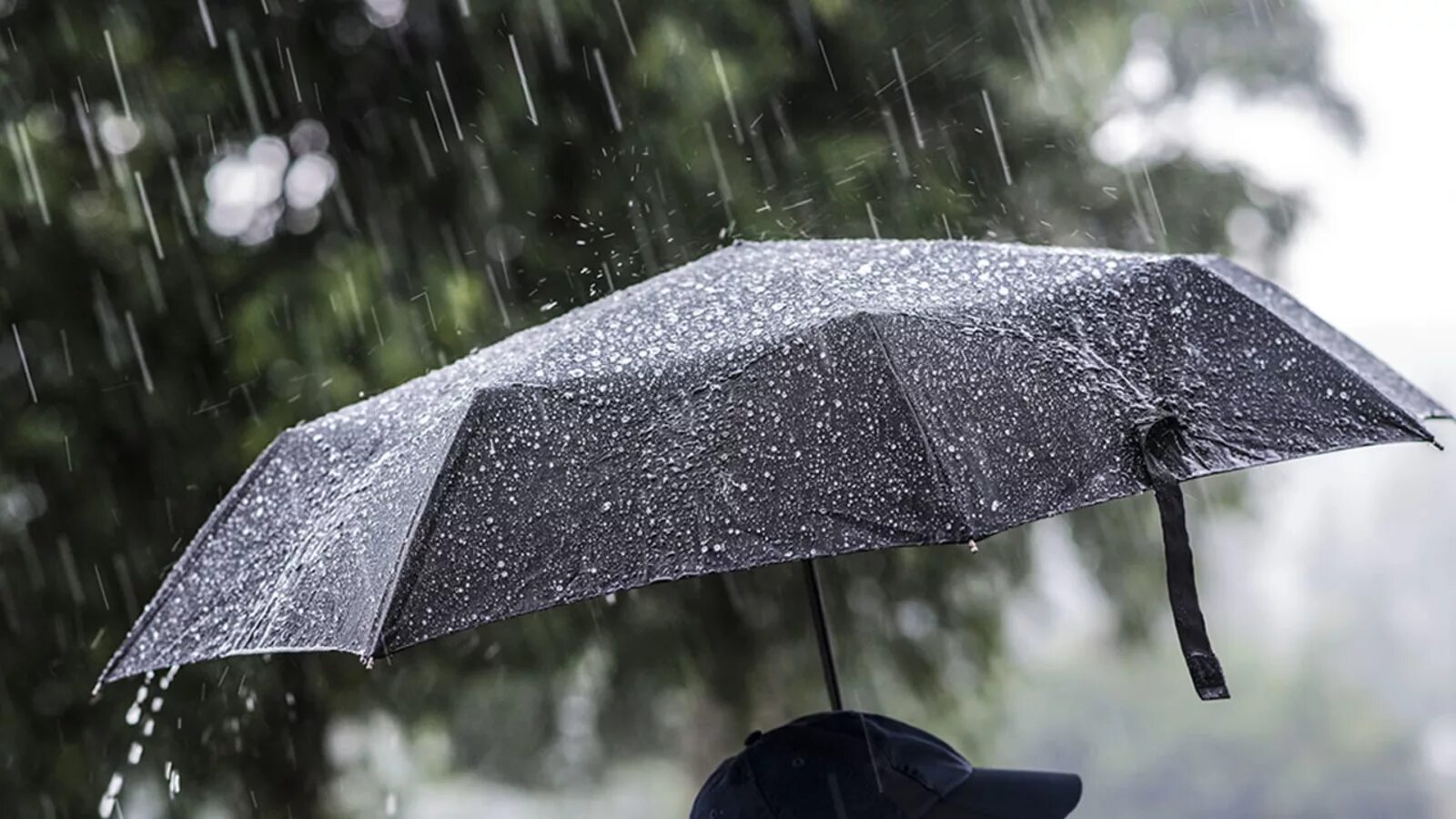 Мокрый зонт. Дождь зонт. Ливень зонт. Зонт "капли". Rain damage