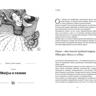 Шипы и розы книга