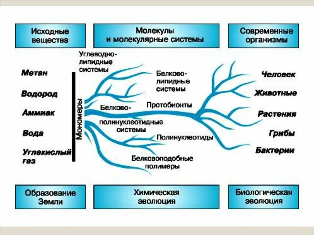 Существование разных биологических
