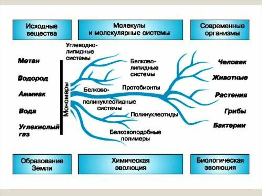 Этапы биохимической эволюции схема. Схема происхождения жизни. Происхождение жизни на земле схема. Схема теории происхождения жизни.