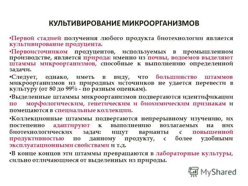 Молочнокислые бактерии продуценты. Молочнокислое брожение бактерии микробиология. Свойства молочнокислых бактерий. Бактерии продуценты примеры. Молочнокислые бактерии продуценты.