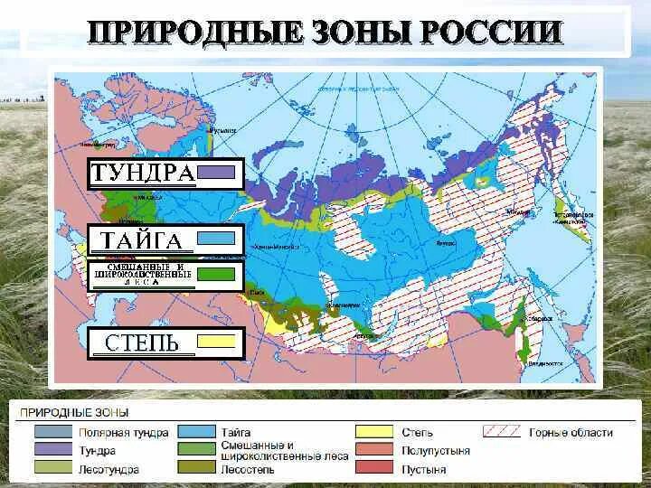 Природные зоны россии впр ответы