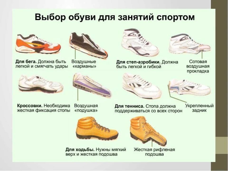 Виды спортивной обуви. Спортивная обувь название. Правильная обувь для спорта. Гигиена спортивной обуви. Как правильно подобрать кроссовки