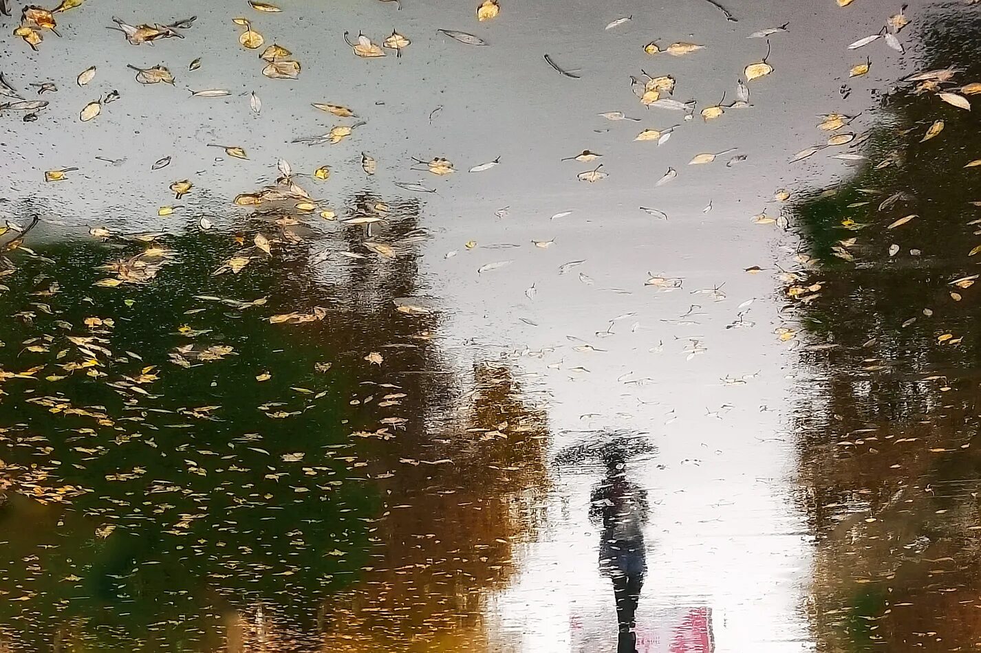 Дождь отражение. Дождь на асфальте. Отражение в луже фото. А У нас дождь.