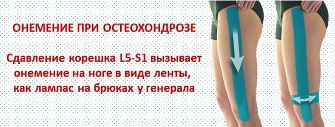 Немеют колени причины у мужчин. Онемение ноги от бедра до колена. Немеет левая нога от бедра.