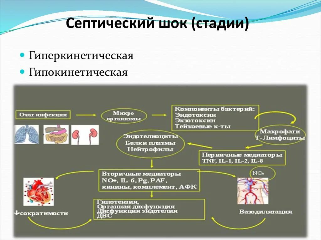 Септический шок тест. Бактериальный септический ШОК. Септический ШОК презентация. Бактериальный ШОК патогенез.