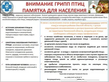 Предотвращение нападения диких птиц