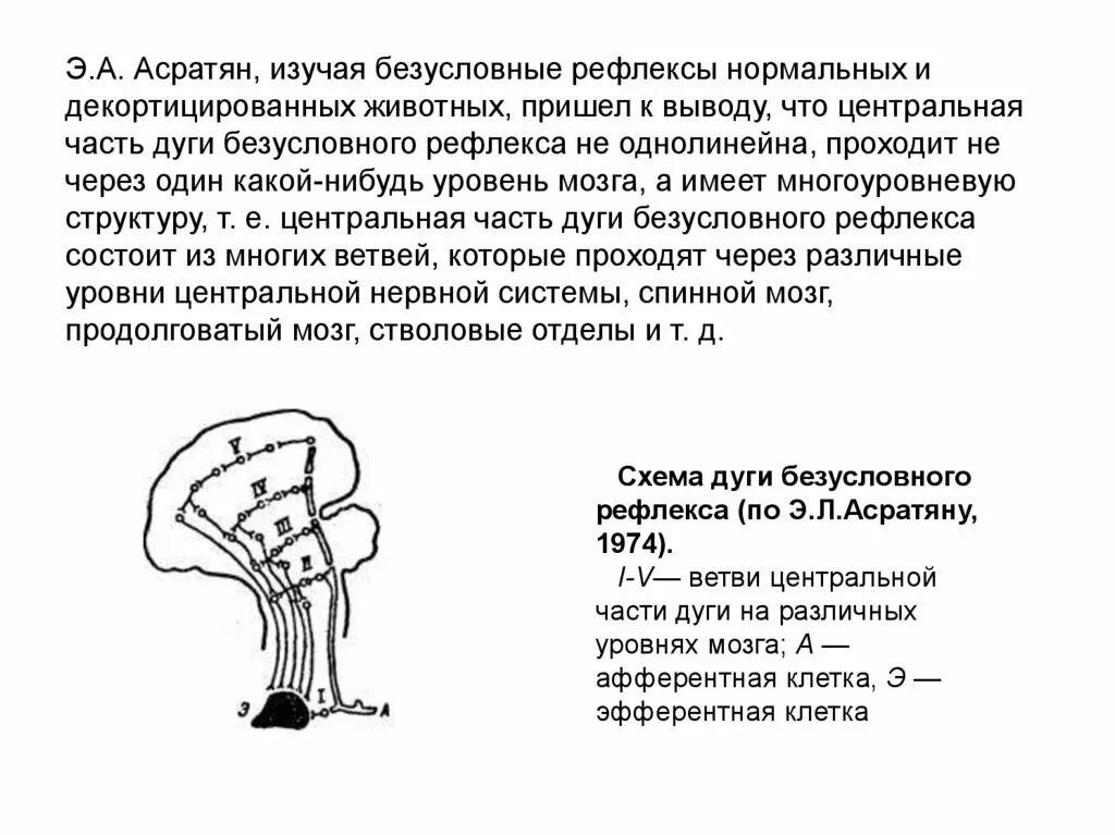 Формирование безусловного рефлекса