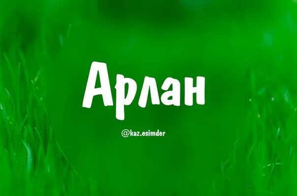 Арлан волк. Арлан эмблема. Арлан арт. Арлан имя. Арлан логотип.