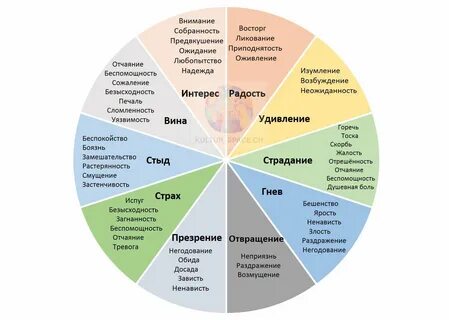 Колесо чувств