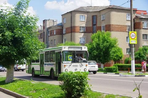 Екжип московская область