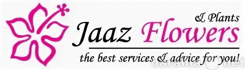 Jaaz Flowers. Цветобаза лого. Jazz Flower. Цветочная фирма в Москве джазфловерс. Flowers приват