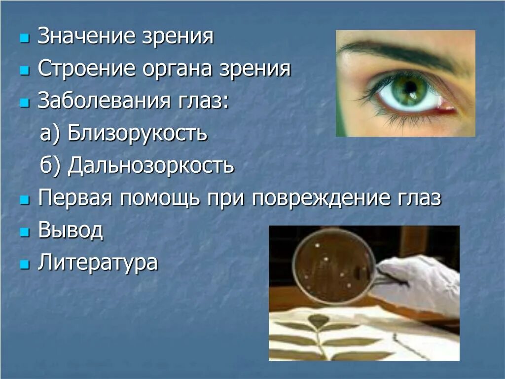 Заболевания глаз биология 8 класс. Значение зрения. Заболевания органов зрения. Значение органа зрения. Заболевания глаз вывод.