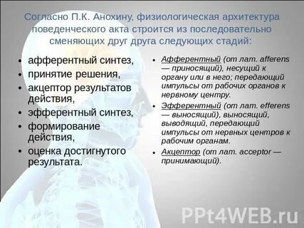 Система поведенческого акта