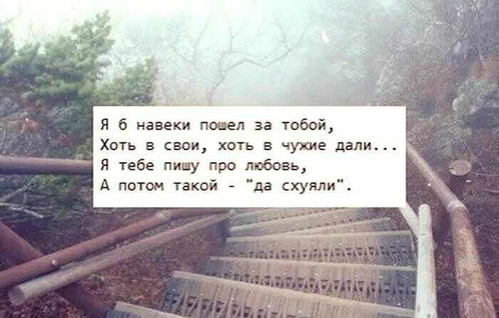 Песня я пойду за тобой хоть. Я Б навеки пошел за тобой хоть в свои хоть в чужие дали. Сарказм про любовь. Я Б навеки пошел за тобой а потом такой. Цитаты с сарказмом о любви.