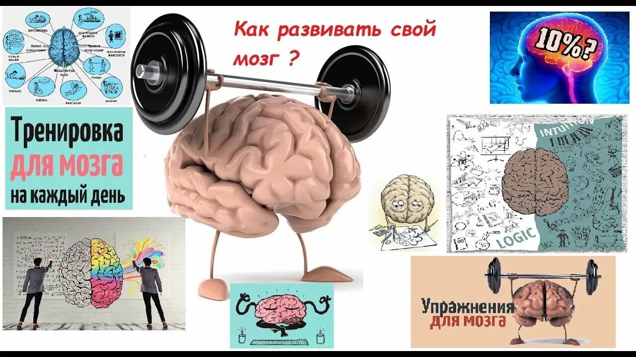 Развитие мозга упражнения. Развиваем мозг. Мозг развивается. Развивайте свой мозг. Развиваем мозг упражнения.