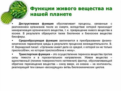 Какую роль живые организмы