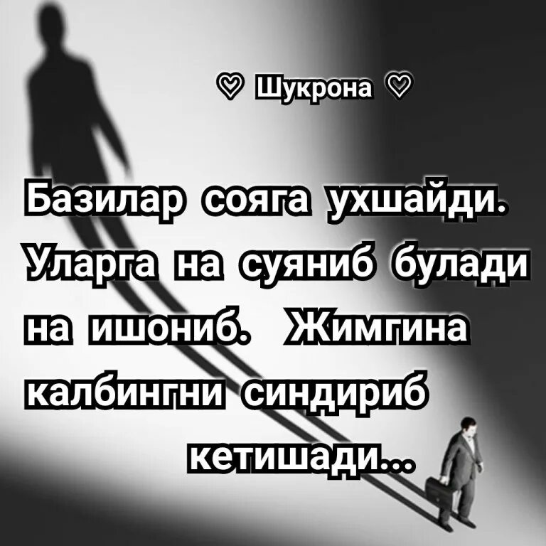 шукрона шукрона. тасним статуслар. шукрона шукрона. шукрона шукрона.