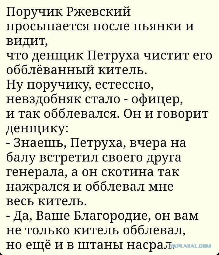 Анекдот про поручика ржевского и вишневую косточку. Анекдоты про Ржевского. Анекдоты про поручика Ржевского лучшие. Шутки про поручика Ржевского. Анекдоты протпоручика рдевского.