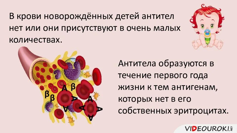 Почему кровь считают. Переливание крови презентация. Тканевая совместимость и переливание крови. Презентация группы крови 8 класс. Группы крови 8 класс биология.