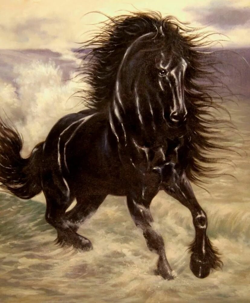 Черный конь скачет