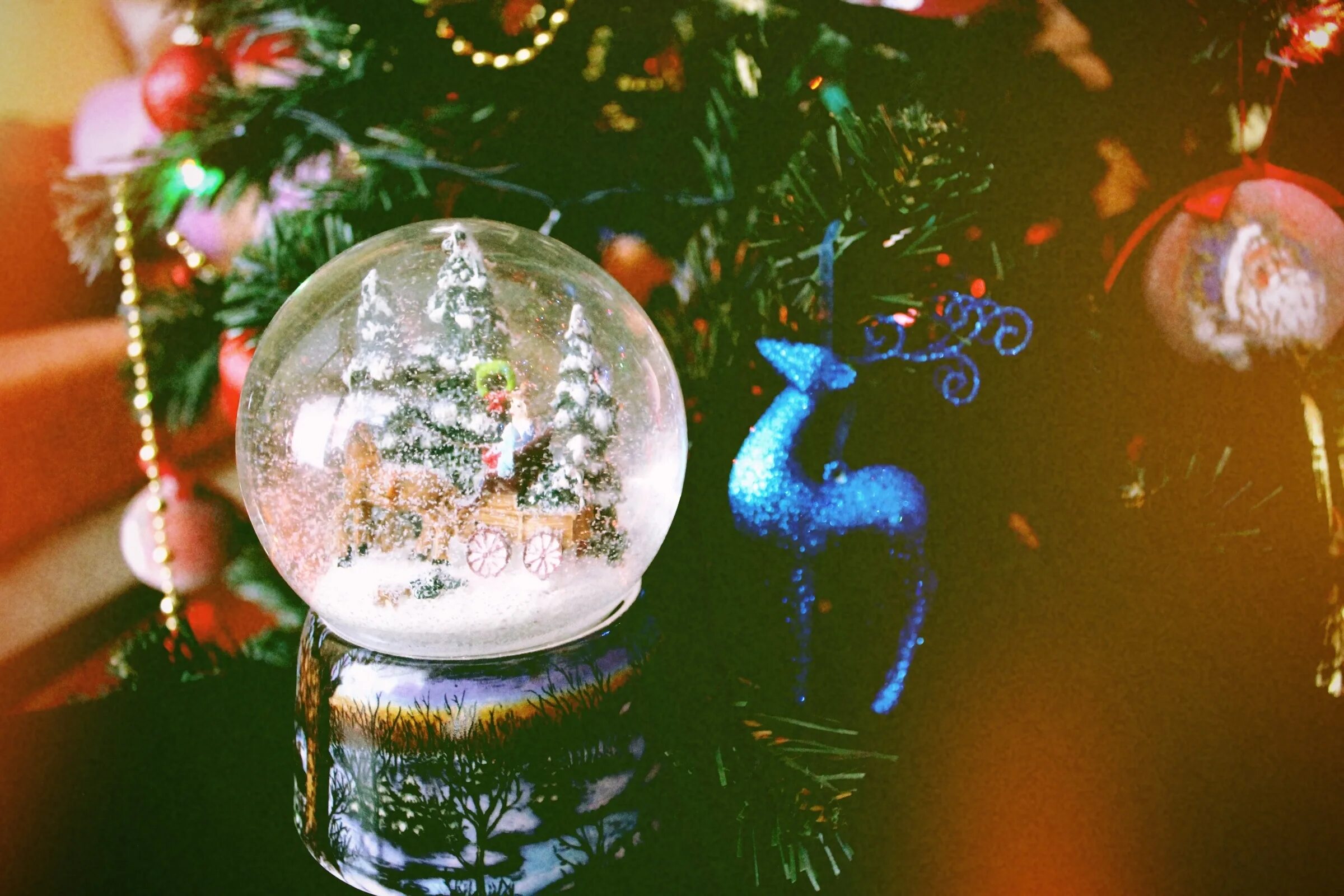 снежный шар. зимнее волшебство шары. Snow globe снежный-шар. зимнее волшебство шары. новогодний шар со снегом.