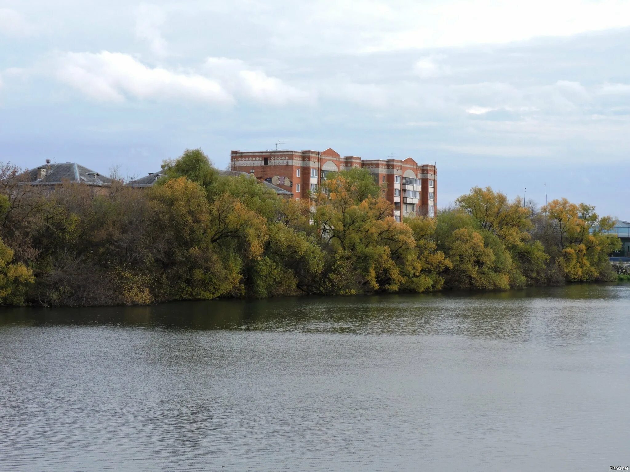 Город на реке сура. Река Сура Пенза. Речка Сура Пенза. Берег Суры Пенза. Река Сура в Мордовии.