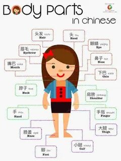 Girl parts
