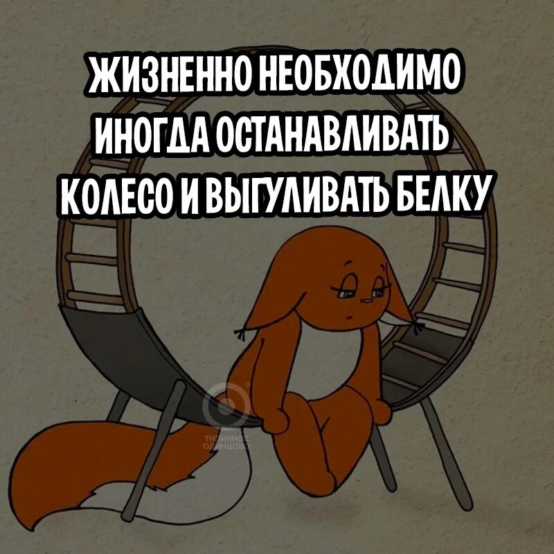 Надо бы остановиться. Жизненно необходимо иногда останавливать колесо. Белку надо иногда выгуливать. Жизненно необходимо иногда останавливать колесо и выгуливать белку. Иногда надо остановиться.