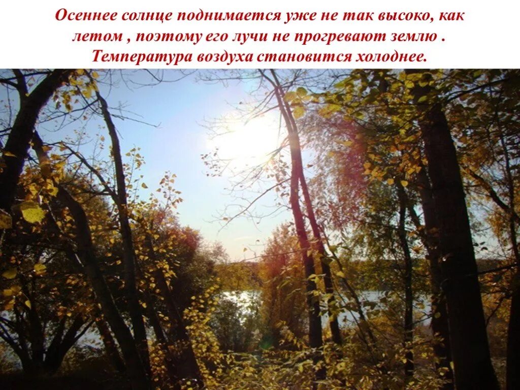 Каким становится воздух осенью. Осенью солнце поднимается. Про осеннее солнце цитаты. Солнце осенью цитаты. Как подымается солнце осенью.