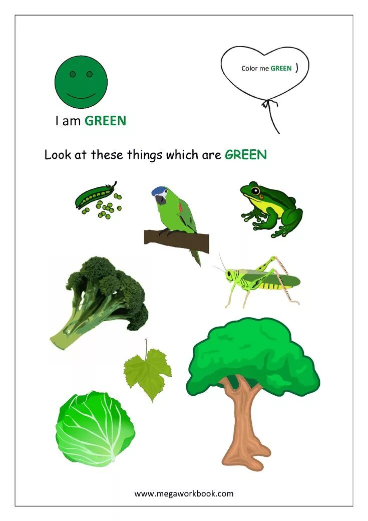 Red colour worksheets. Rainbow colours worksheet. Green color worksheets. Colours green worksheets. Colours прописи на английском.