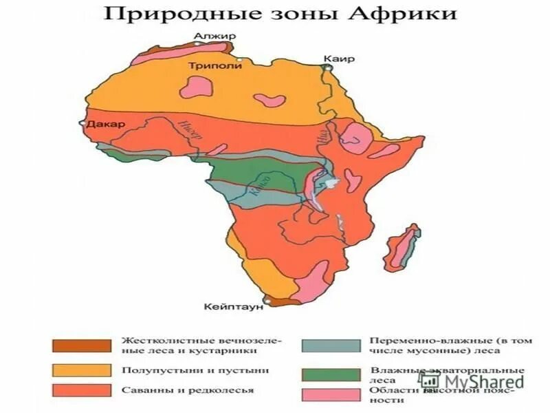Умеренные воздушные массы. Карта умеренного климатического пояса. Тропические воздушные массы. В каком городе сухой климат. Климатические пояса земли на карте мира.