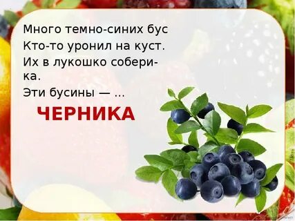 Ягода привычка