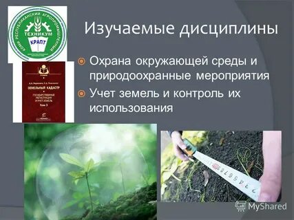 Дисциплина в охране