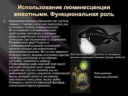 Применение люминесценции
