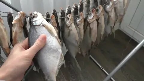Сколько времени сушить рыбу