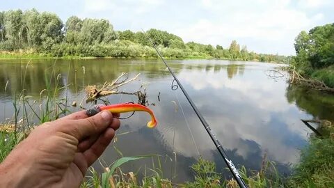 Рыбалка на щуку осенью с берега спиннинг