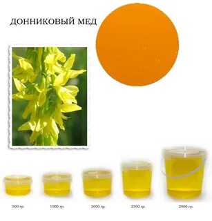 Полезные свойства донникова меда