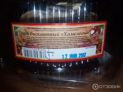 Хамелеон ижевск