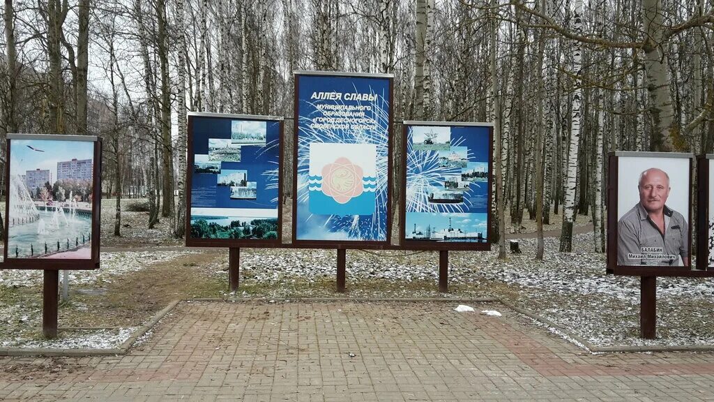 Почетная аллея. Аллея почетных граждан города ставрополя. Почетная аллея. Уличные стенды для аллеи славы. Аллея почетных граждан ставропольского края ставрополь.