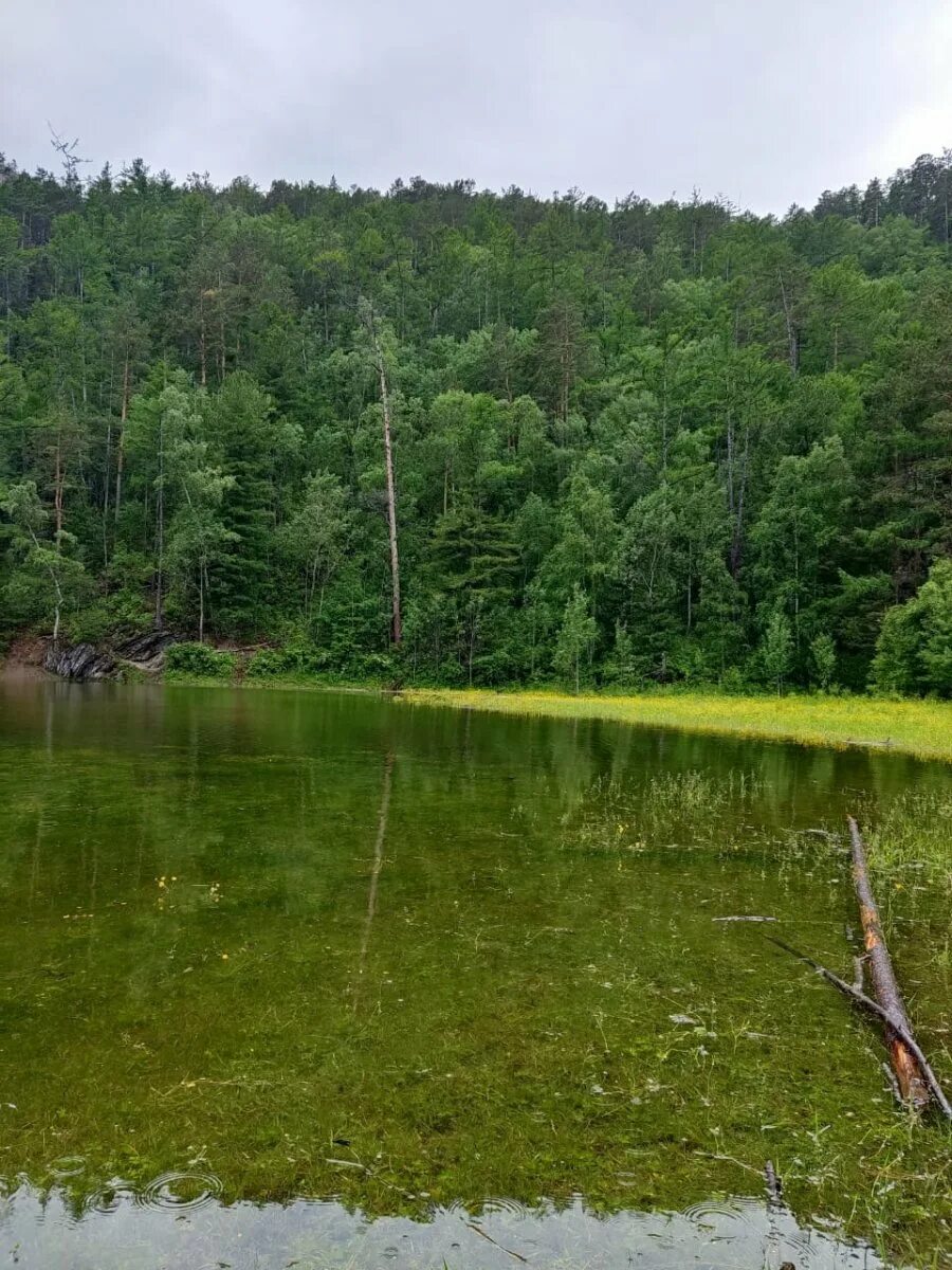 Сухое озеро большое. Сухое озеро на Байкале. Озеро сухое Алтайский край. Озеро сухое в Прибайкалье. Сухое озеро фото.