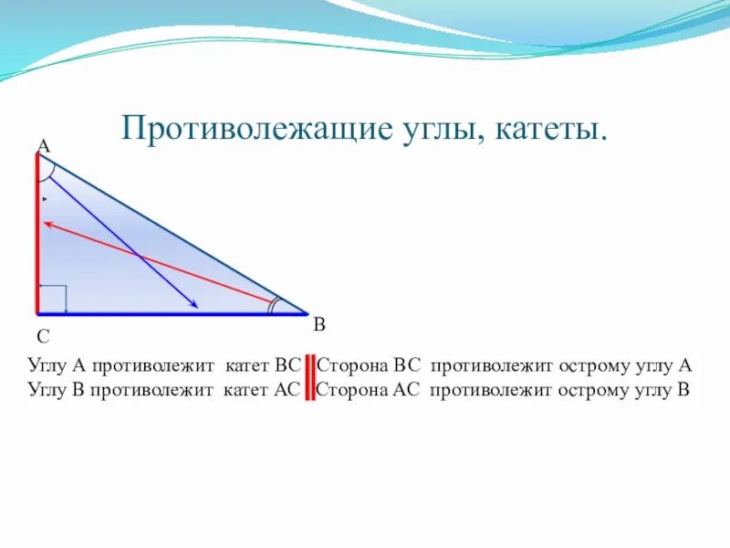 13 катет противолежащий углу. Противолежащий катет. Противолежащие углы. Катет противолежащий углу. Ghjnbdjkt;FOBT euksуглы.