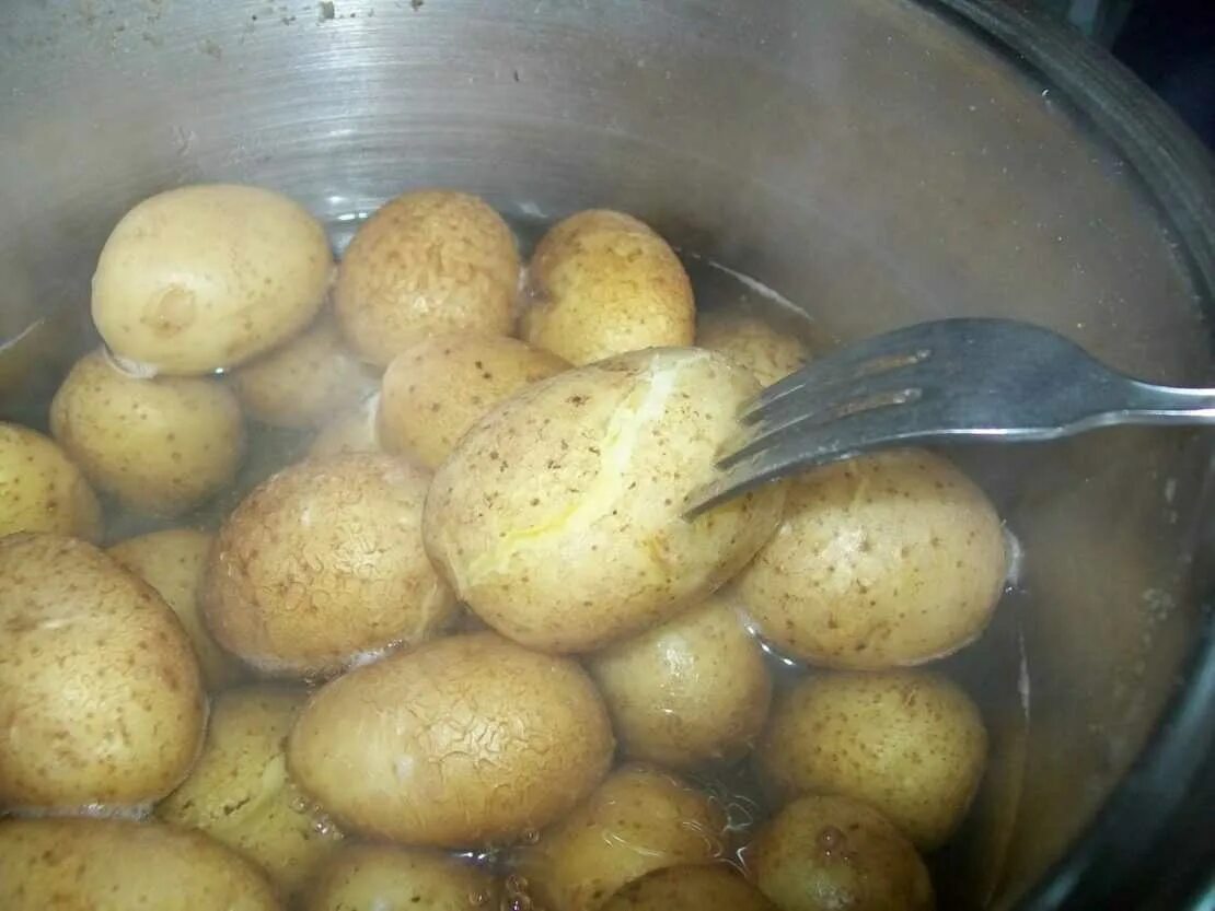 Сколько варить молодой картофель. Картошка в мундире. Варка картошки в мундире. Картошка в кастрюле. Картофель варится.
